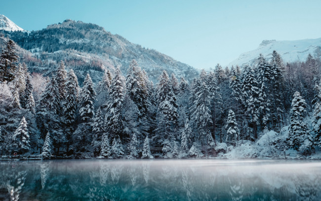 Обои картинки фото природа, лес, зима, мороз, утро, горный, пейзаж, снег, зимний, альпы, швейцария