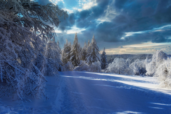 Обои картинки фото природа, зима, эльзас