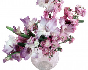 Картинка цветы букеты композиции гладиолусы ваза