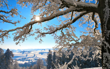 Картинка природа зима мороз солнце снег день чудесный