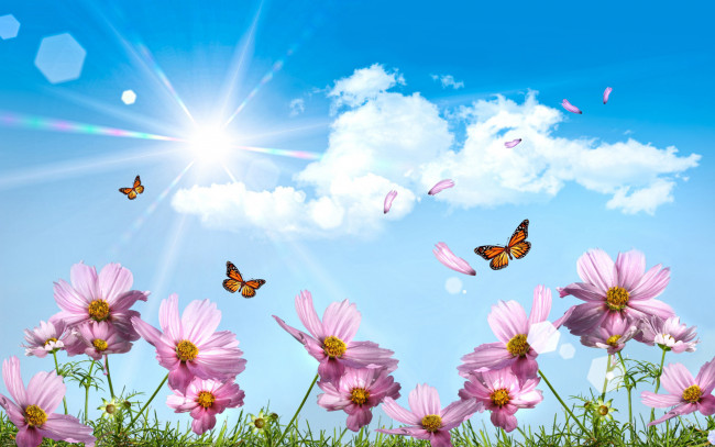 Обои картинки фото разное, компьютерный дизайн, небо, бабочки, цветы