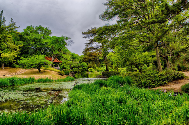 Обои картинки фото takamatsu ritsurin garden Япония, природа, парк, трава, деревья, пруд