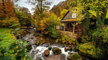 Картинка watermill+in+black+forest germany разное мельницы watermill in black forest