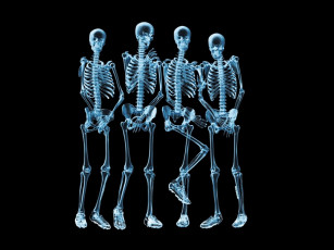 Картинка разное кости рентген скелеты ренген