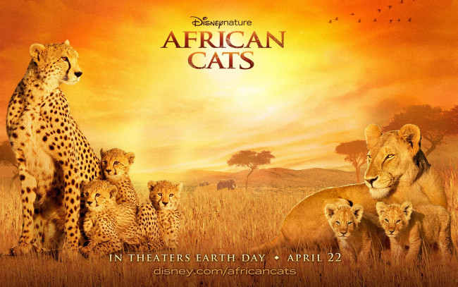 Обои картинки фото african, cats, кино, фильмы