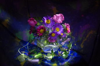Картинка цветы букеты композиции букет астры