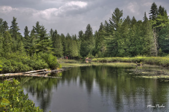 Картинка parc national de la mauricie природа реки озера квебек озеро лес деревья