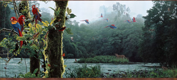 Картинка rod frederick rainforest rendezvous рисованные лес река попугаи леопард арт