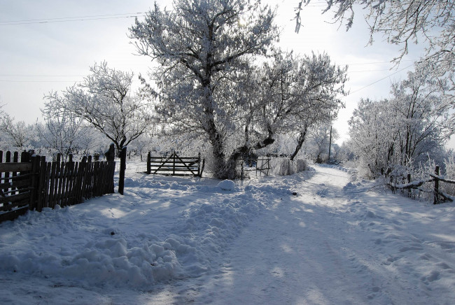 Обои картинки фото природа, зима, дорога, тень, солнце, дерево, снег