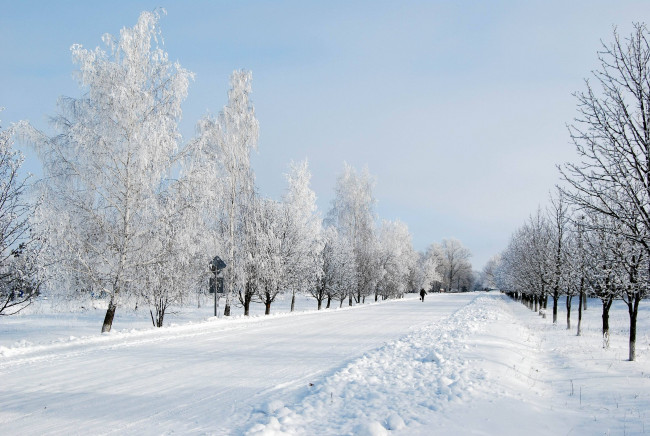 Обои картинки фото природа, зима, иний, деревья, снег, дорога