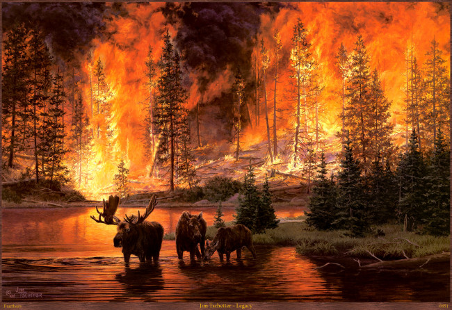 Обои картинки фото jim, tschetter, legacy, рисованные, огонь, пожар, в, лесу, лоси, лес, река, арт