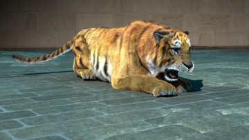 Картинка 3д+графика animals+ животные тигр