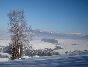 Картинка природа зима деревья снег иней