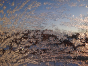 Картинка природа макро стекло зима иней