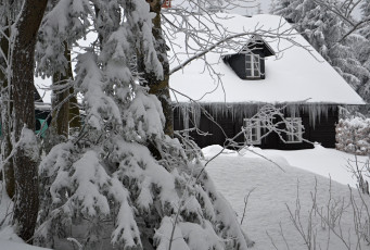 Картинка природа зима лес деревья снег иней сосульки дом