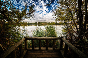 Картинка природа реки озера рка камыш мостик облака