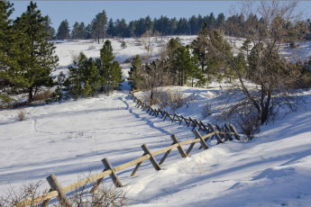 Картинка природа зима поле снег деревья