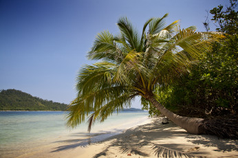 Картинка природа тропики океан острова пляж пальма