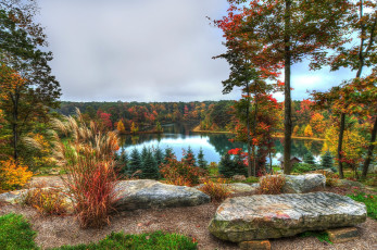 Картинка природа реки озера лес озеро краски панорама осень