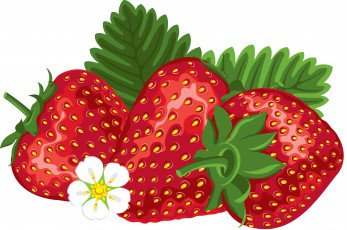 Картинка векторная+графика еда+ food ягоды листья фон клубника