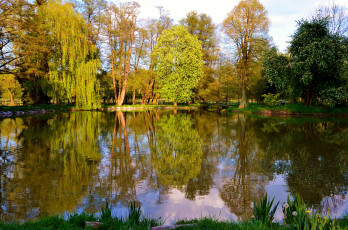 Картинка природа реки озера отражение деревья озеро небо