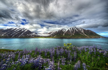 Картинка природа пейзажи пролив цветы горы