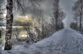 Картинка природа зима река берёза снег
