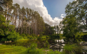 Картинка природа реки озера лето озеро лес