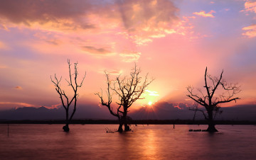 Картинка природа восходы закаты закат река деревья
