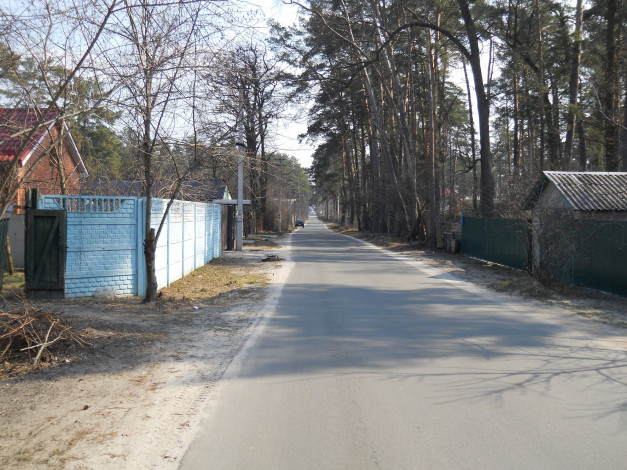 Обои картинки фото лесная буча,  киевская обл, природа, дороги, лесная, буча, киев, дорога, посёлок, сосны