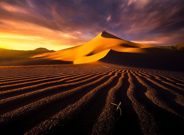 Обои картинки фото природа, пустыни, пустыня, барханы, дюны, песок, небо, облака