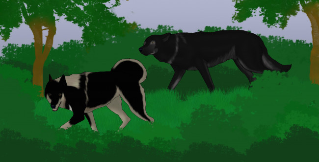 Обои картинки фото рисованное, животные,  собаки, собаки, лес