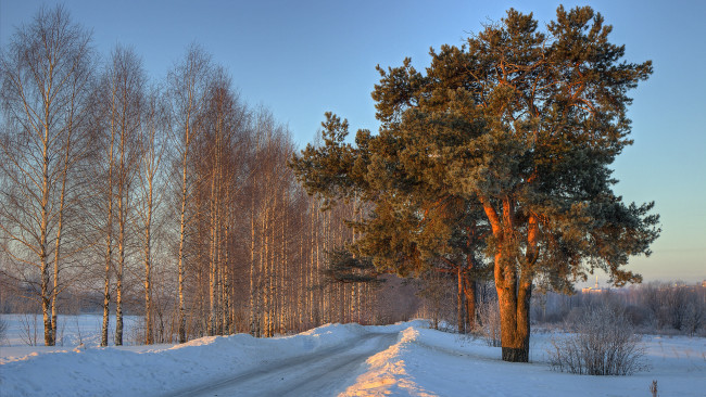 Обои картинки фото природа, зима, снег, деревья, тракт, сугробы