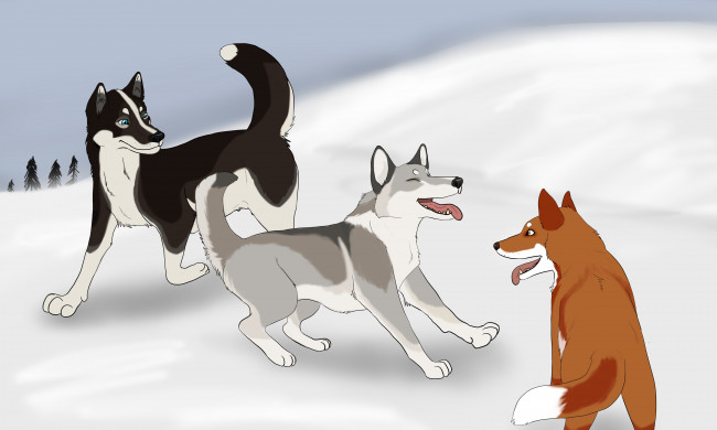 Обои картинки фото рисованное, животные,  собаки, снег, собаки