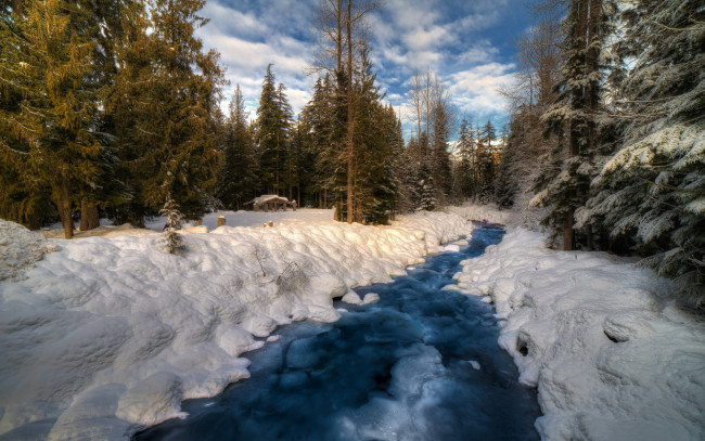 Обои картинки фото природа, зима, снег, лес, река