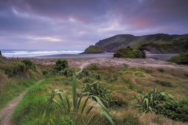 Обои картинки фото природа, побережье, океан, скалы, трава