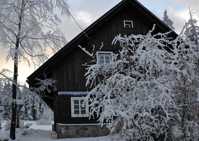 Обои картинки фото города, - здания,  дома, дерево, зима, снег, дом
