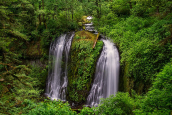 Картинка природа водопады заросли водопад поток деревья лес