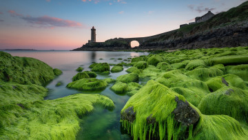 Картинка природа маяки мох камни маяк море закат