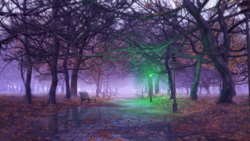 Картинка рисованное природа фон фонарь скамейки деревья парк