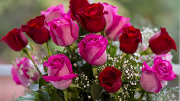 Картинка цветы розы розовые бордовые бутоны букет