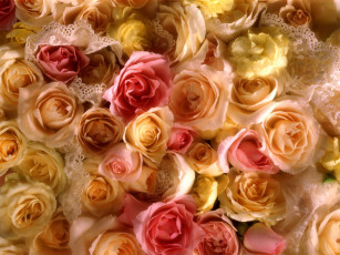 Картинка rose bridal bouquet цветы розы