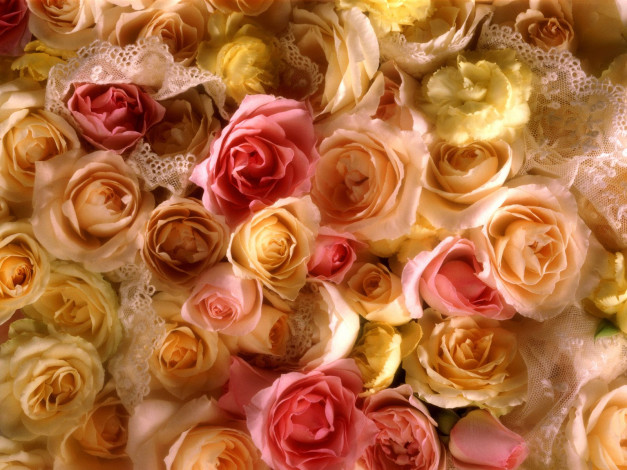 Обои картинки фото rose, bridal, bouquet, цветы, розы