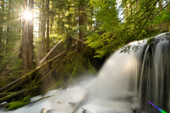 Картинка природа водопады лес