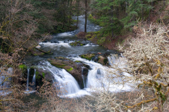 Картинка природа водопады лес вода течение