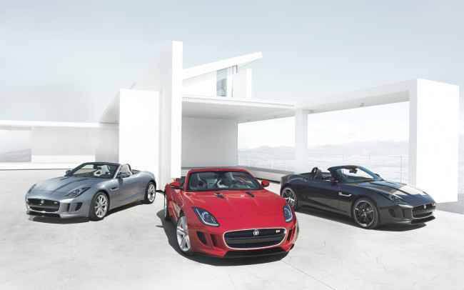 Обои картинки фото 2012, jaguar, type, автомобили