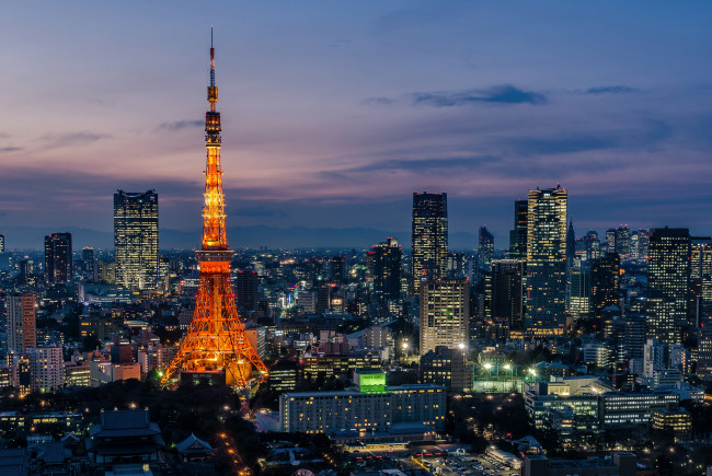 Обои картинки фото postcard tokyo, города, токио , Япония, небоскрёбы, дома, огни, ночь, башня