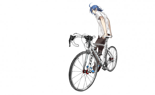 Обои картинки фото аниме, yowamushi pedal, парень