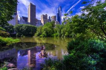 Картинка central+park+-+new+york+city города нью-йорк+ сша простор