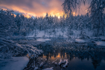 Картинка природа реки озера norway норвегия ringerike norwegian woods